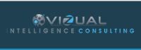 Vizual Intelligence Inc. image 1